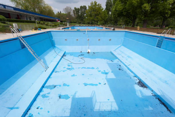 Best Water damage cleanup near me  in Carrizo Hill, TX