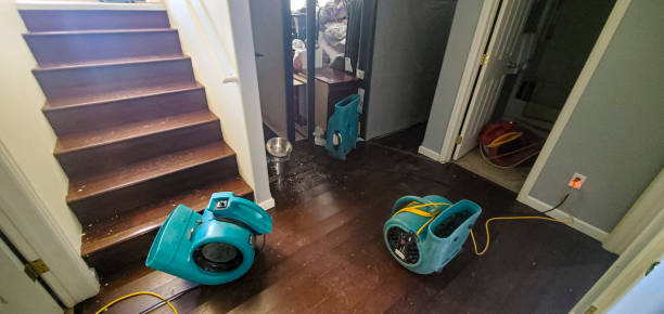 Best Water damage restoration near me  in Carrizo Hill, TX