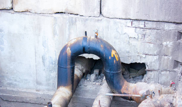 Best Local water damage restoration  in Carrizo Hill, TX